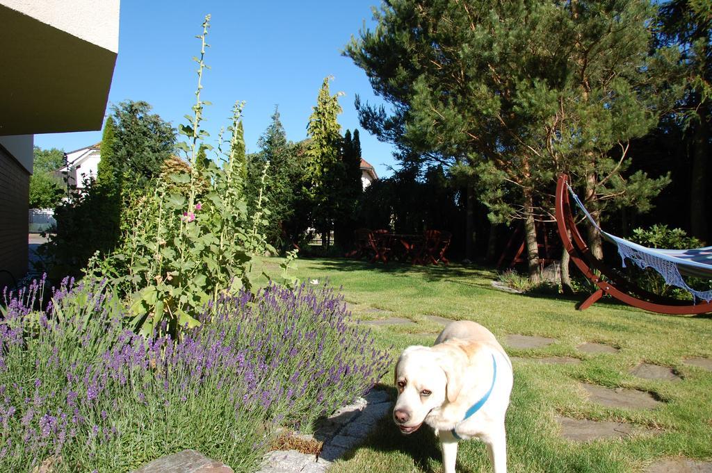 Willa Etna Dziwnowek Bagian luar foto